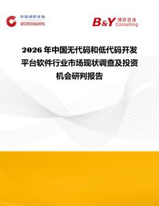 2026年中國無代碼和低代碼開發平臺軟件行業市場現狀調查及投資機會研判報告