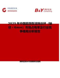 2025年中國(guó)超微型滾珠絲桿（軸徑＜6mm）市場(chǎng)占有率及行業(yè)競(jìng)爭(zhēng)格局分析報(bào)告