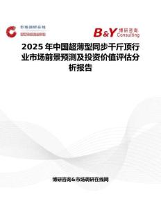 2025年中國超薄型同步千斤頂行業市場前景預測及投資價值評估分析報告