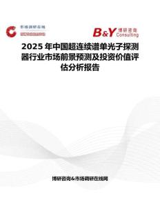2025年中國超連續譜單光子探測器行業市場前景預測及投資價值評估分析報告