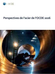 【OECD】2026年强迫症的历史展望