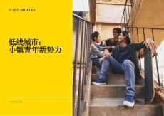 2026低線城市小鎮青年新勢力報告-英敏特