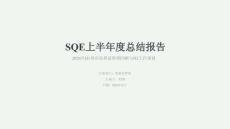 SQE上半年度總結(jié)報告