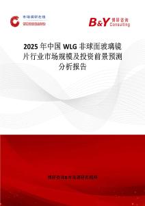 2025年中國WLG非球面玻璃鏡片行業(yè)市場規(guī)模及投資前景預(yù)測分析報告