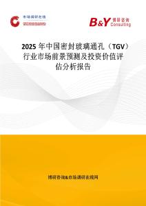 2025年中國密封玻璃通孔（TGV）行業市場前景預測及投資價值評估分析報告