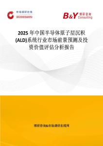 2025年中國(guó)半導(dǎo)體原子層沉積(ALD)系統(tǒng)行業(yè)市場(chǎng)前景預(yù)測(cè)及投資價(jià)值評(píng)估分析報(bào)告