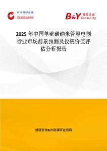 2025年中國單壁碳納米管導電劑行業市場前景預測及投資價值評估分析報告