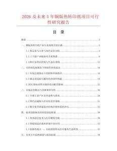 2026及未來5年銅版熱轉印紙項目可行性研究報告