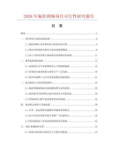 2026年氟桂利嗪项目可行性研究报告
