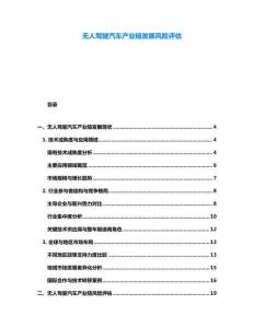 无人驾驶汽车产业链发展风险评估