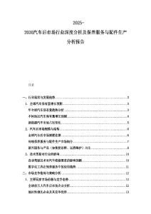 2025-2030汽車后市場行業深度分析及保養服務與配件生產分析報告