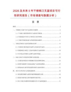 2026及未来5年不锈钢刀叉篮项目可行性研究报告（市场调查与数据分析）