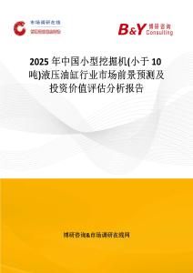 2025年中國小型挖掘機(小于10噸)液壓油缸行業市場前景預測及投資價值評估分析報告