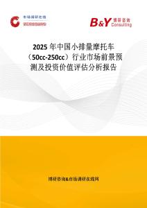 2025年中國小排量摩托車（50cc-250cc）行業市場前景預測及投資價值評估分析報告