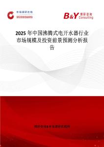 2025年中國沸騰式電開水器行業市場規模及投資前景預測分析報告
