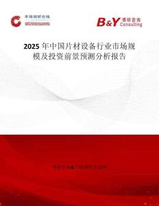 2025年中國片材設備行業市場規模及投資前景預測分析報告