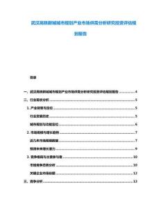 武漢高鐵新城城市規劃產業市場供需分析研究投資評估規劃報告