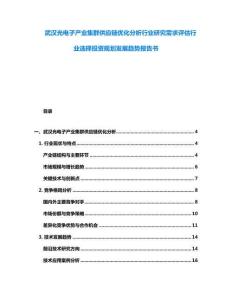 武漢光電子產業集群供應鏈優化分析行業研究需求評估行業選擇投資規劃發展趨勢報告書
