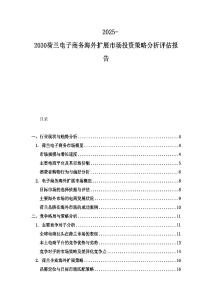 2025-2030荷蘭電子商務(wù)海外擴展市場投資策略分析評估報告