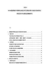 2025-2030能源儲存領域電池技術發展前景市場仿真政策支持投資評估規劃前瞻研究