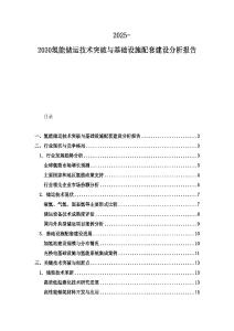 2025-2030氫能儲運技術突破與基礎設施配套建設分析報告