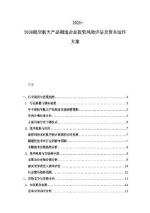 2025-2030航空航天產品制造企業投資風險評估及資本運作方案