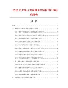 2026及未來5年視鏡法蘭項目可行性研究報告