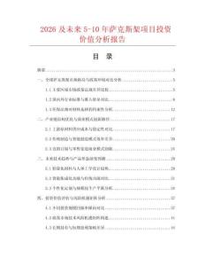2026及未來5-10年薩克斯架項目投資價值分析報告