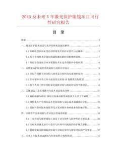 2026及未來5年激光保護眼鏡項目可行性研究報告