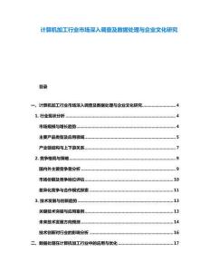 計算機加工行業市場深入調查及數據處理與企業文化研究