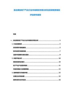淮北煤炭地下氣化行業市場現狀供需分析及投資前景規劃評估研究報告