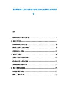 物聯(lián)網(wǎng)安全行業(yè)市場供需分析及投資評估規(guī)劃分析研究報告