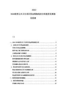 2025-2030帕勞公共衛生項目資金籌集現狀分析投資發展指導原理