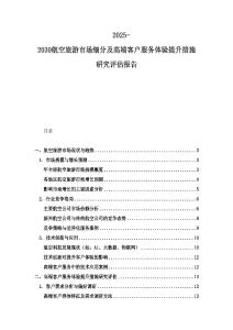 2025-2030航空旅游市場細分及高端客戶服務體驗提升措施研究評估報告