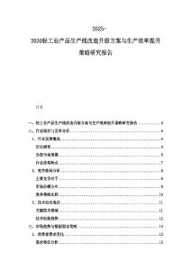 2025-2030輕工業(yè)產(chǎn)品生產(chǎn)線改造升級方案與生產(chǎn)效率提升策略研究報告