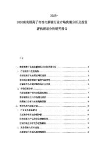 2025-2030南美鋰離子電池電解液行業市場供需分析及投資評估規劃分析研究報告