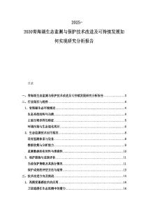 2025-2030青海湖生態監測與保護技術改進及可持續發展如何實現研究分析報告