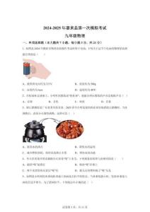 2025年廣東省揭陽市惠來縣中考一模物理試題（含答案）