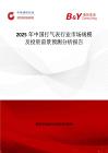 2025年中國打氣表行業市場規模及投資前景預測分析報告