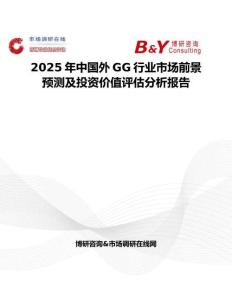 2025年中國外GG行業市場前景預測及投資價值評估分析報告