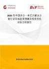 2025年中國多合一單芯片解決方案行業市場前景預測及投資價值評估分析報告