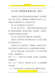 公司員工福利體系實施方案