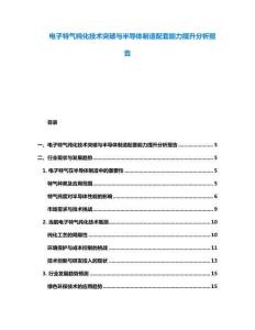 電子特氣純化技術(shù)突破與半導(dǎo)體制造配套能力提升分析報告