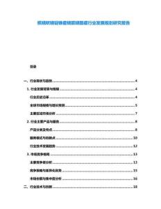 槟蛲畎蛲锭锥瘥蛲膑蛲醢瘥行业发展规划研究报告