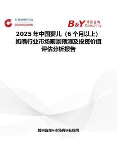 2025年中國嬰兒（6個月以上）奶嘴行業市場前景預測及投資價值評估分析報告