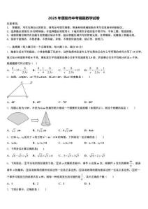 2026年濮阳市中考猜题数学试卷（含答案解析）