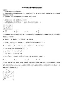 2026年玉溪市中考数学猜题卷（含答案解析）