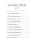 2026年扁絲項目可行性研究報告