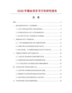 2026年扁丝项目可行性研究报告