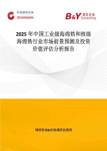 2025年中國工業級海綿鋯和核級海綿鋯行業市場前景預測及投資價值評估分析報告